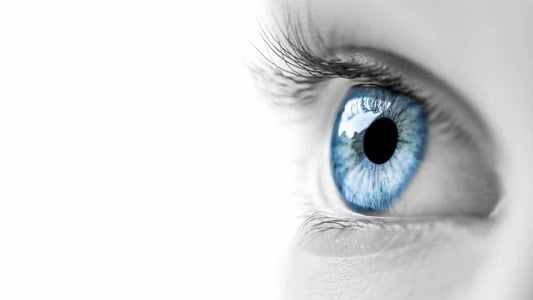 See How Tested Safety Eyewear Prevents Lost Vision