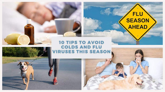 10 Tips to Avoid Colds and Flu Viruses This Season