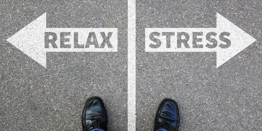 Stress And Happiness – How To Manage Work Stress, Increase Productivity And Happiness