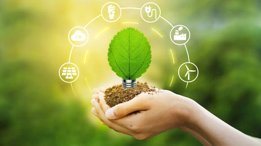 Renewable Energy Innovation and Worker Safety